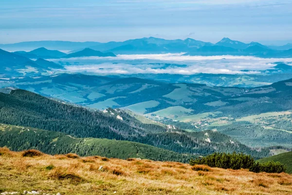 Région Orava Brestova Tatras Occidentales République Slovaque Thème Randonnée Scène — Photo