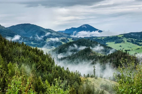 Scena Naturale Stagionale Con Nebbia Mattutina Regione Orava Repubblica Slovacca — Foto Stock