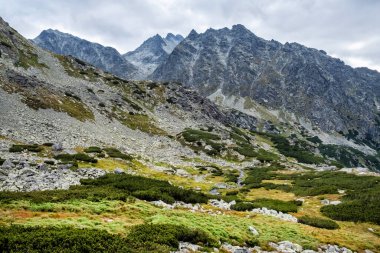 Mengusovska vadisi manzarası, yüksek Tatras dağları, Slovak cumhuriyeti. Yürüyüş teması. Mevsimsel doğal sahne.