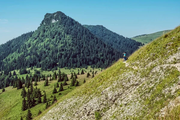 Black Stone Hill Big Fatra Slowakije Seizoensgebonden Natuur Reisbestemming Wandelthema — Stockfoto