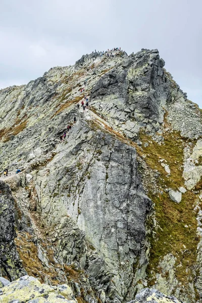 Koprovsky Gipfel Hohe Tatra Slowakische Republik Wanderthema Saisonale Naturszene — Stockfoto