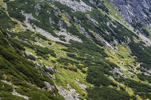 Paisagem Vale Mengusovska Altas Montanhas Tatras República Eslovaca Tema Das — Fotografia de Stock