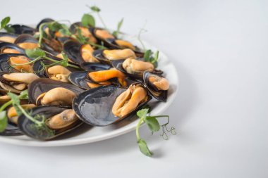 Midye yeşil plaka üzerinde bir sürü.