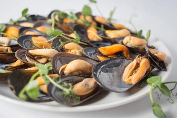 Midye yeşil plaka üzerinde bir sürü.