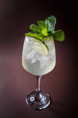 Martini cam buz, kireç ve zarif koyu kahverengi zemin üzerine nane kokteyli.