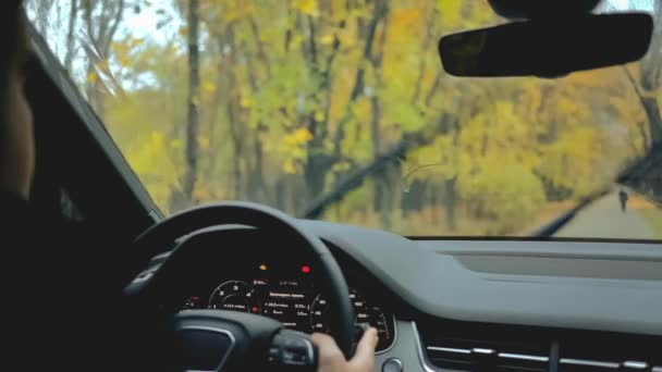 Cinemagraph. Loop video. Live. View of the park from the windshield inside a car while rain. Drops of water fall on the glass. Wipers works. The man sitting inside a car and holds the steering wheel — Stock Video