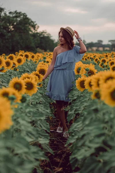 梦到穿着蓝色衣服的年轻女子 夏天在向日葵的田野里拿着帽子 前面的风景 向一边看去 全身而前复制空间 — 图库照片