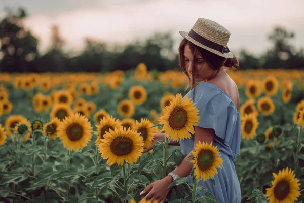 Genç kadınla Ayçiçeği tarlası elinde mavi elbise ve şapka holding ayçiçeği yaz rüya, onun tarafını görüntüleyin. Aşağı bakıyor. kopya alanı