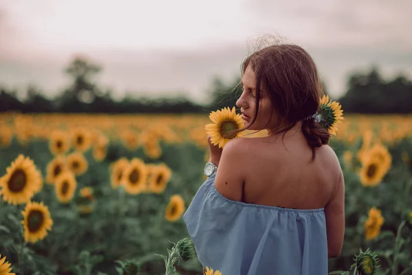 梦到穿着蓝色衣服的年轻女子抱着 夏天在向日葵的田野里嗅到向日葵 从她的背上看 往下看 复制空间 — 图库照片