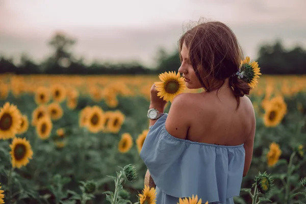 梦到穿着蓝色衣服的年轻女子抱着 夏天在向日葵的田野里嗅到向日葵 从她的背上看 向一边看去 复制空间 — 图库照片