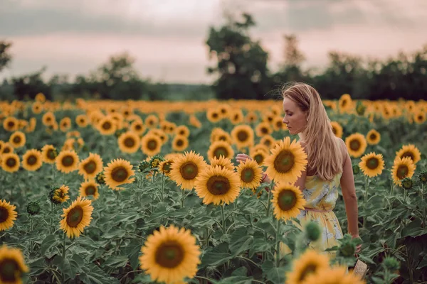 梦到穿着黄色衣服的年轻女子手牵着鲜花在向日葵的田野里 从她的背后看到了风景 向一边看去 复制空间 — 图库照片