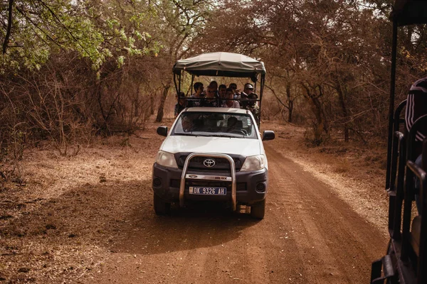 Safari Jeep Con Los Turistas Que Van Hacia Adelante Carretera — Foto de Stock