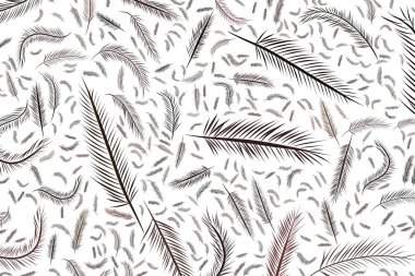 Soyut tüy illüstrasyonlar arka plan. Karikatür tarzı vektör grafiği.