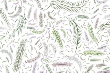 Tüy illüstrasyonlar. Web sayfası, duvar kağıdı, grafik tasarım, katalog, doku veya arka plan için iyi. Karikatür tarzı vektör grafiği.