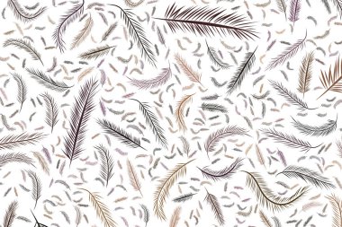 Soyut çizimler tüy, kavramsal. Tasarım arka plan için iyi. Karikatür tarzı vektör grafiği.