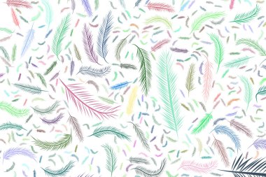 Tüy illüstrasyonlar. Web sayfası, duvar kağıdı, grafik tasarım, katalog, doku veya arka plan için iyi. Karikatür tarzı vektör grafiği.