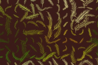 Tüy illüstrasyonlar. Web sayfası, duvar kağıdı, grafik tasarım, katalog, doku veya arka plan için iyi. Karikatür tarzı vektör grafiği.