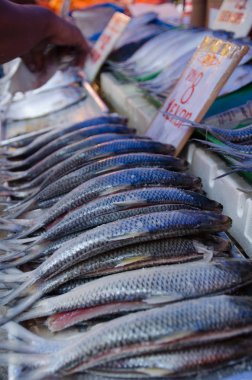 Egzotik yiyecek bir Malezya ıslak piyasa üzerinde satış.