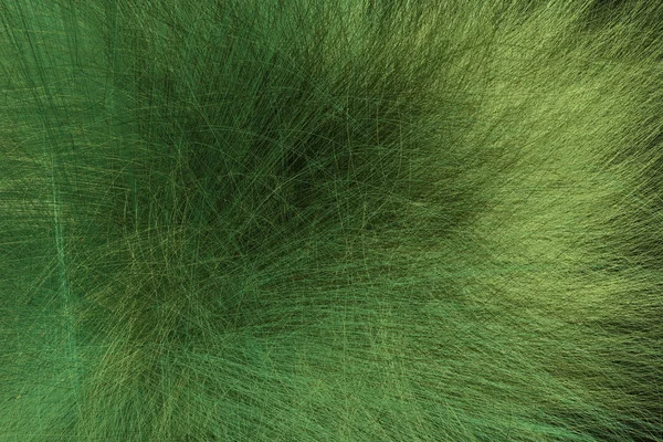 Artystyczny wygląd streszczenie futra, marzycielski tle. Zbliżenie, 3D re — Zdjęcie stockowe