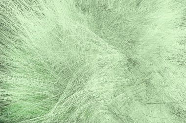 Kürk sanatsal bir görünüm soyut, rüya gibi arka plan. Yakın çekim, 3d re