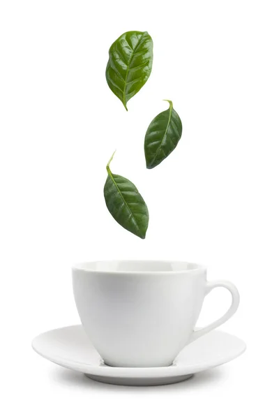 Τσάι Φύλλα Που Πέφτουν Τσάι Κύπελλο Λευκό Φόντο — Φωτογραφία Αρχείου