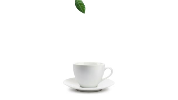 Animated Image Tea Leaves Falling Cup Tea White Background — Stock Video