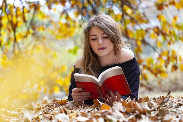 Jong Meisje Het Lezen Van Een Boek Het Park Met — Stockfoto