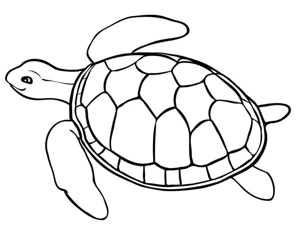 Contour turtle - coloring page for kids, line art — Stock Vector