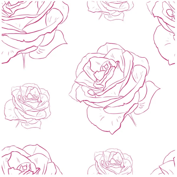 Бесшовный Векторный Рисунок Контура Фуксии Фиолетовый Цветок Роза — стоковый вектор