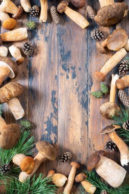 Mantar boletus mantarı kopya alanı ile kahverengi ahşap zemin üzerinde. Üstten görünüm.