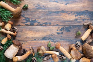 Mantar boletus mantarı kopya alanı ile kahverengi ahşap zemin üzerinde. Üstten görünüm.