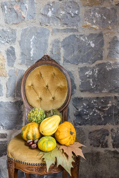 Différents types de citrouilles ornementales, châtaignes, feuilles sur la vieille chaise jaune — Photo