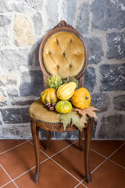 Различные виды декоративных тыкв, каштанов, листьев на старом желтом стуле — стоковое фото