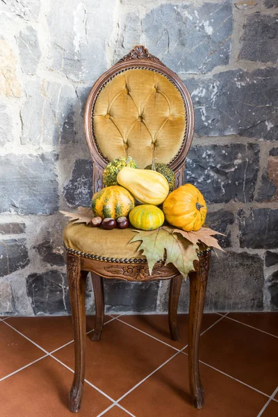 Différents types de citrouilles ornementales, châtaignes, feuilles sur la vieille chaise jaune — Photo