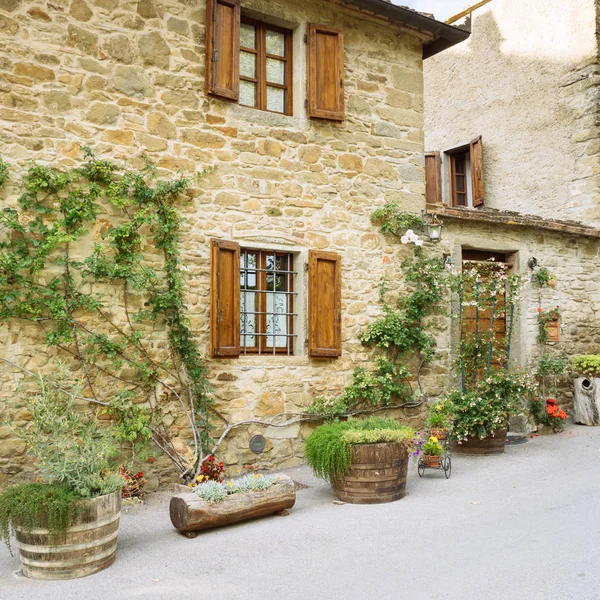 Beautiful Flowers Bushes Front Stone Wall Village Medieval Origin Volpaia — Stock Photo, Image
