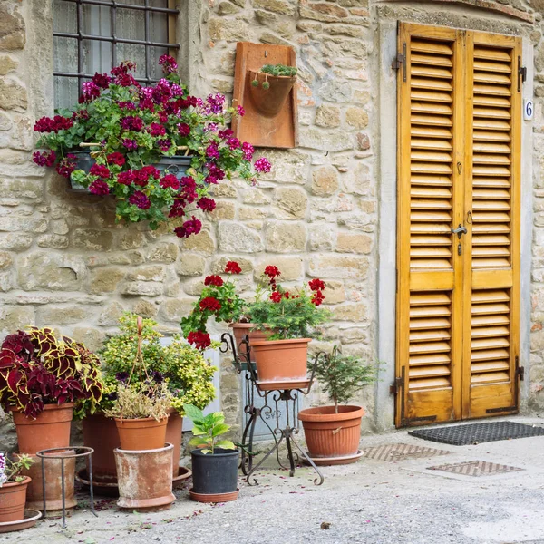 Цветы перед каменной стеной в маленькой деревушке Средневековья. Вольпая, Тоскана, Италия. Форма квадрата — стоковое фото