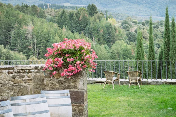 Schöner Italienischer Hof Toscana Volpaia Italien — Stockfoto