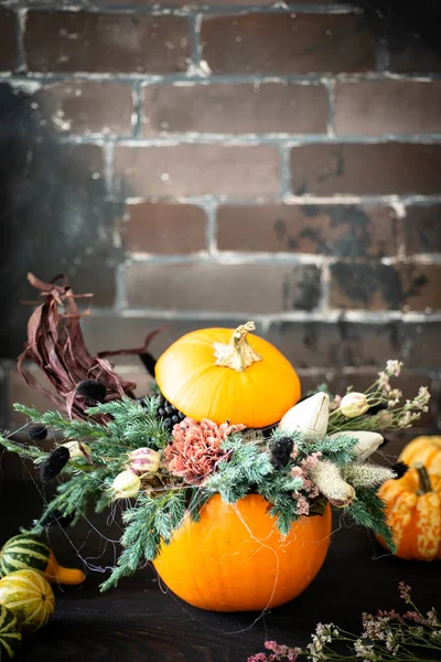 Halloween Eller Thanksgiving Baggrund Efterårssammensætning Græskar Med Spindelvæv Majs Nellikeblomst - Stock-foto