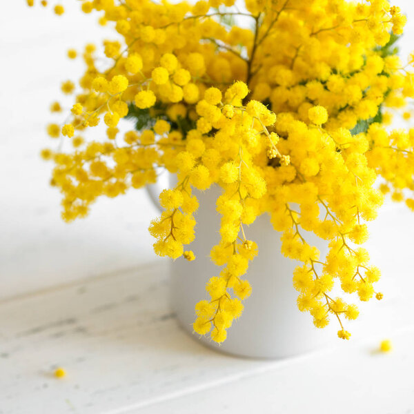 Bouquet of mimosa flowers on white wooden background. Springtime.