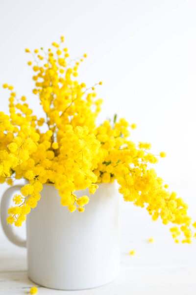 Bouquet of mimosa flowers on white wooden background. Springtime.