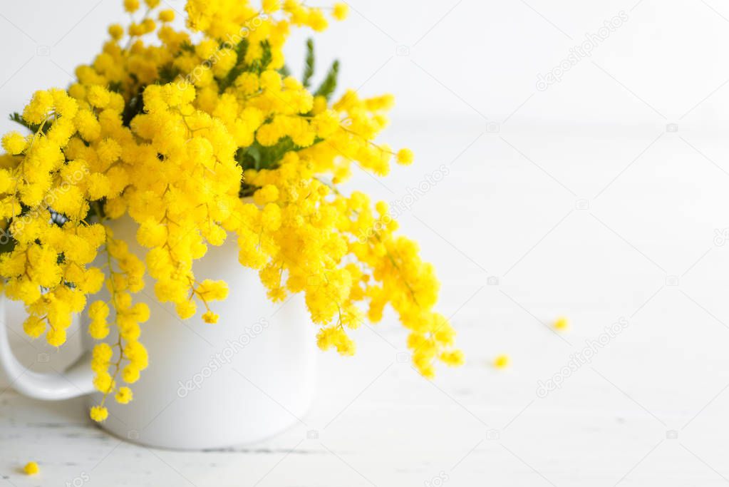 Bouquet of mimosa flowers on white wooden background. Springtime.