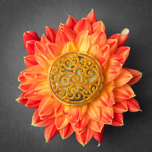 Mooncake dans un dahlia orange frais coule sur un fond brun. chinois mi-automne festival nourriture . — Photo