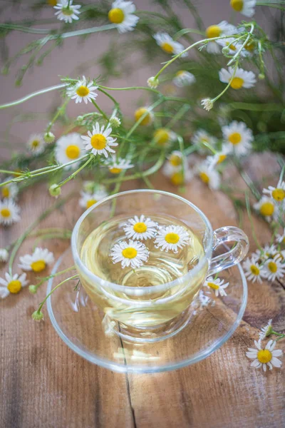 Tasse de tisane camomille avec des fleurs sur une table. Boisson naturelle saine. — Photo