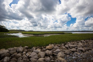 Büyük Talbot Island State Park