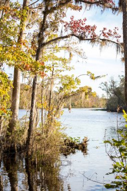 Sonbaharda nehir manzarası