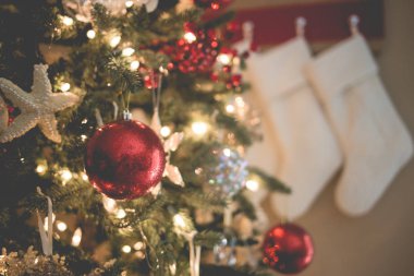 Deniz yıldızı süsleme ile Florida temalı Noel ağacı
