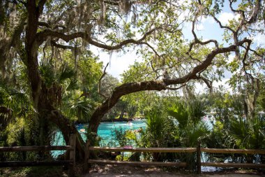 Güzel bir gün springs adlı zevk