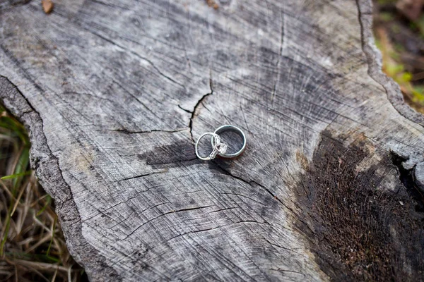 Hermosos Anillos Boda Antes Ceremonia — Foto de Stock