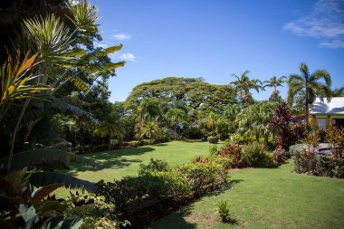 St. Kitts Romney Manor çevresinde bir yürüyüş zevk 
