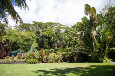 St. Kitts Romney Manor çevresinde bir yürüyüş zevk 